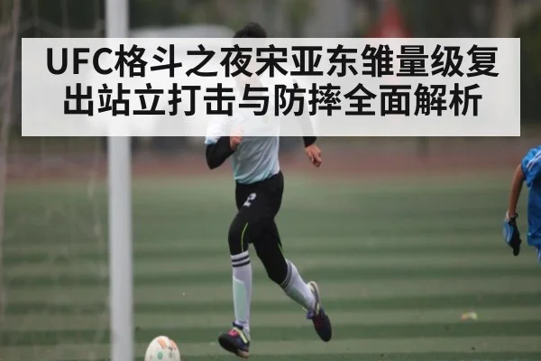 UFC格斗之夜宋亚东雏量级复出站立打击与防摔全面解析